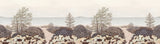 East Coast sur mesure