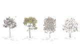 Arbustes sur mesure