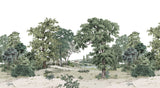 DOMANIALE sur mesure