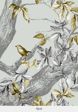 Orphée sur mesure