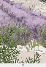 Provence Couleur Sur Mesure