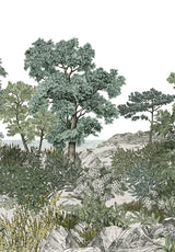 FORÊT DE BRETAGNE sur mesure