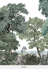 FORÊT DE BRETAGNE sur mesure