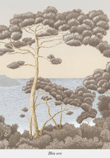 Port-Cros sur mesure