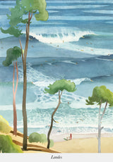 SURF