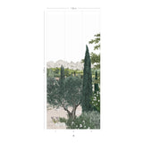 Provence Couleur