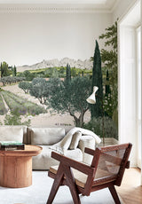 Provence Couleur