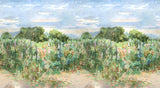 ROSES TRÉMIÈRES sur mesure