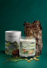 Bougie Forêt