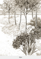 Dune sur mesure