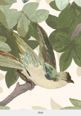Les Oiseaux