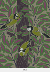 Le Chant des Oiseaux