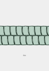 Nantucket Weave Border