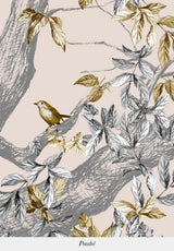 Orphée sur mesure