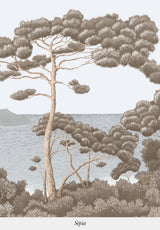 Port-Cros sur mesure