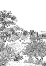 Provence Grisaille