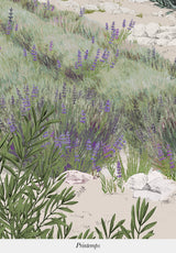 Provence Couleur