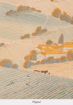 Vendanges 