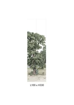 Outlet | Domaniale - Naturel - Non-woven paper