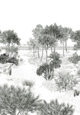 papier peint panoramique grisaille dune paysage inspiration nature