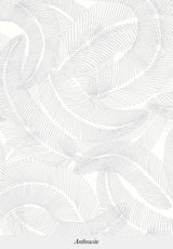 Plumes
