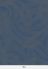 Plumes