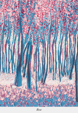 Sylve Decoración