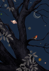 Arbracadabra Nuit