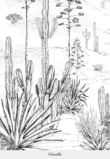 Succulentes